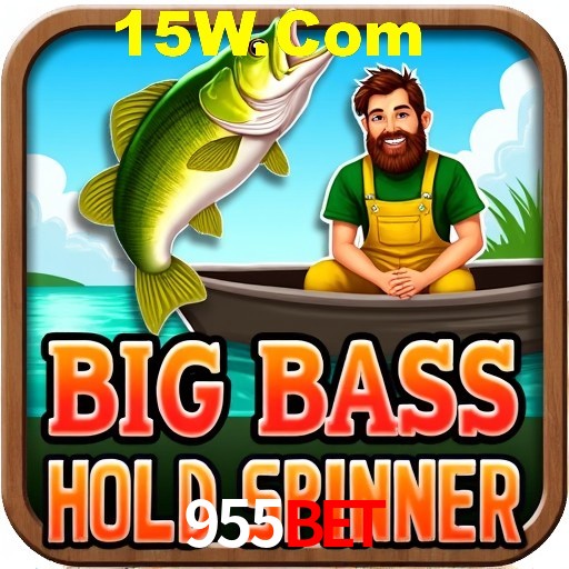 Security Systems 955Bet